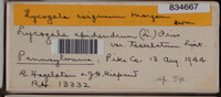 Image Associated With the Occurence